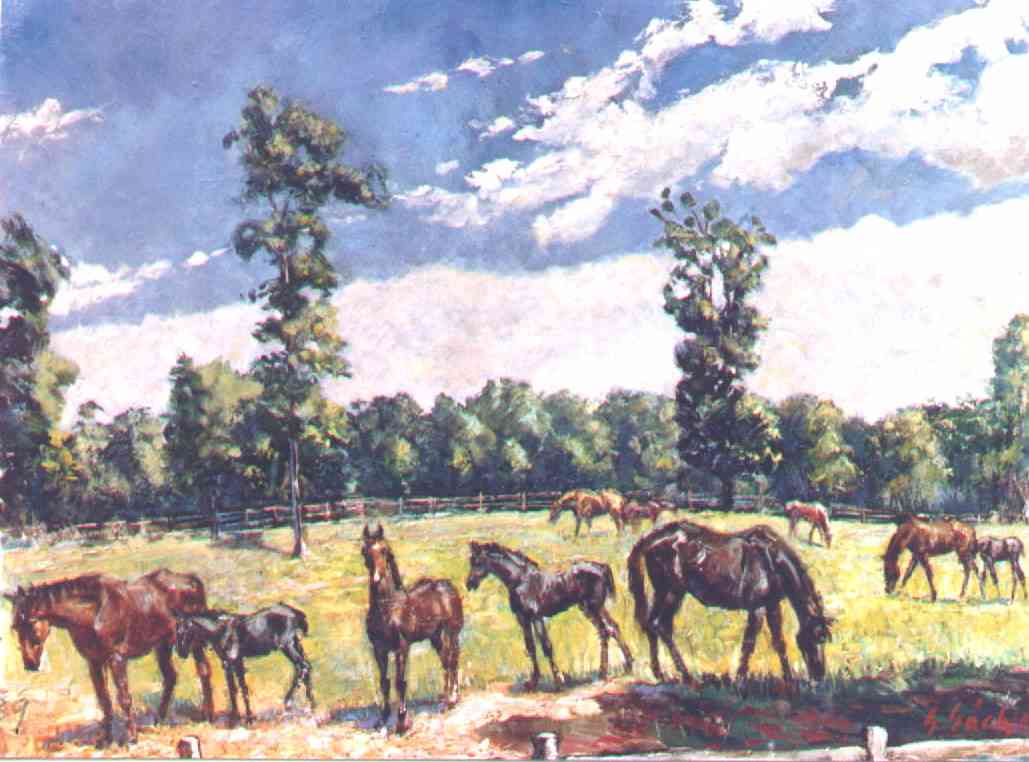 marescolts_lg.jpg (62422 bytes)