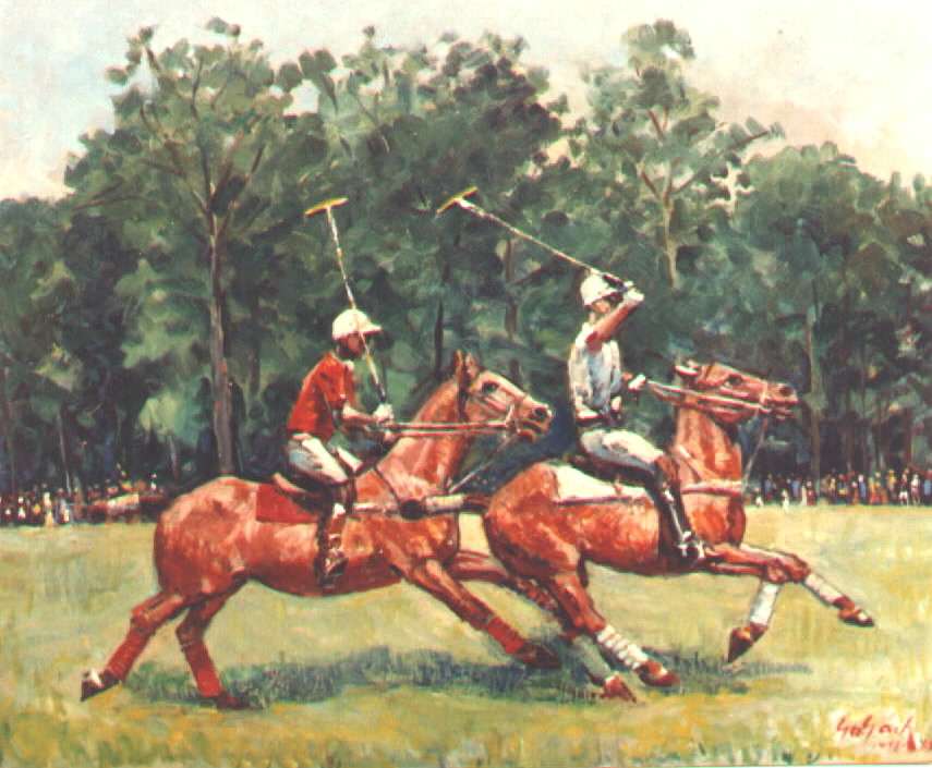 ymcapolo_lg.jpg (67341 bytes)